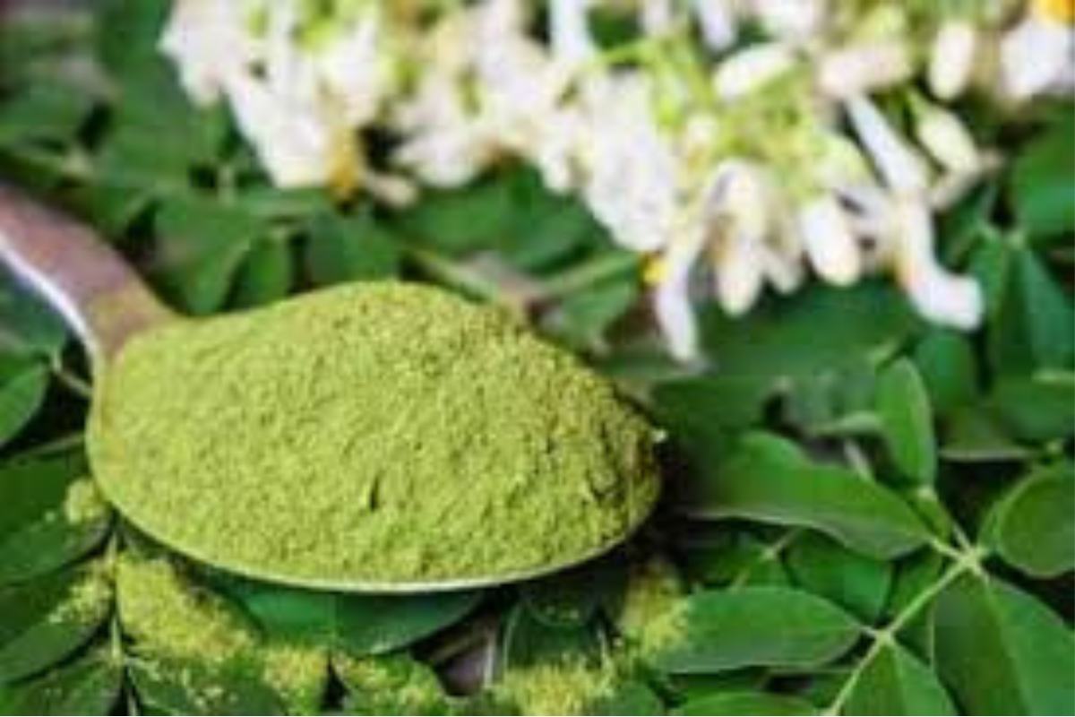 The Powerful Benefits of Moringa Powder: Nature’s Superfood
