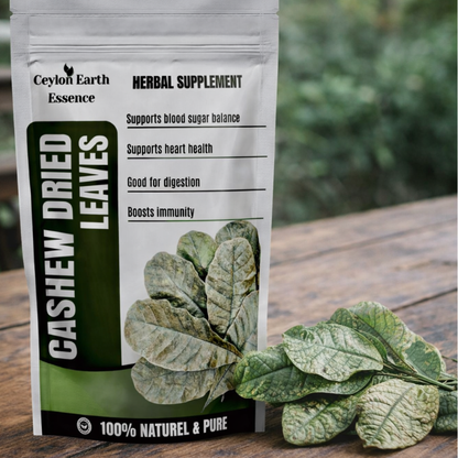 300+ Cashew Leaves for Healthy Living,Dried Cashew Leaves (Anacardium occidentale)