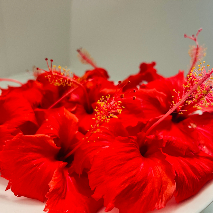 Hibiscus Flowers - Dried Hibiscus flower (sabdariffa) - 100% Premium | Ceylon Earth Essence