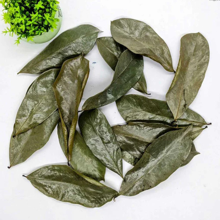 Sale   Dried Soursop Leaves | 100% Natural & Organic Annona Muricata | Perfect for Tea