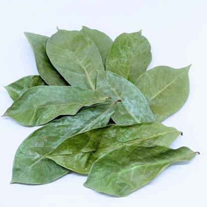Sale   Dried Soursop Leaves | 100% Natural & Organic Annona Muricata | Perfect for Tea