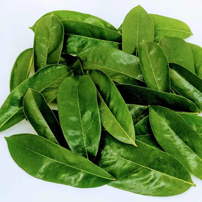 Sale   Dried Soursop Leaves | 100% Natural & Organic Annona Muricata | Perfect for Tea