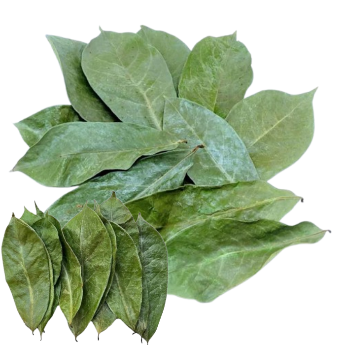 Sale   Dried Soursop Leaves | 100% Natural & Organic Annona Muricata | Perfect for Tea